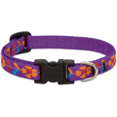 Lupine Collars and Leads 51135 Spring Fling 1/2" x 10-16"...