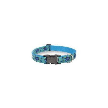 LupinePet Originals 1" Turtle Reef Dog Collar - Adjustable 16-28"