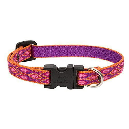 LupinePet Originals 1/2" Alpen Glow Dog Collar - Adjustable 6-9" - Extra Small Dogs