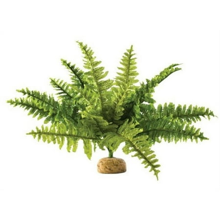 Exo Terra Boston Fern - Medium, Artificial Terrarium Plant, Reptile & Amphibian Habitat Decor