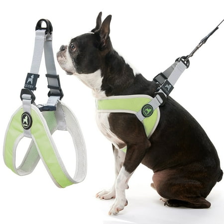 Gooby Simple Step-In III Dog Harness - Green - Medium - Scratch Resistant, Breathable Mesh, No-Pull Small/Medium Dog Harness