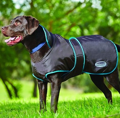 WeatherBeeta Windbreaker 420D Deluxe Dog Coat 20 N