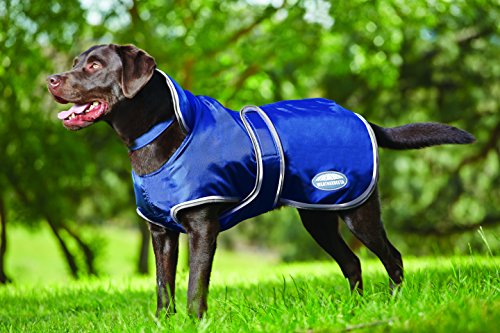 WeatherBeeta Windbreaker 420D Deluxe Dog Coat 24 N