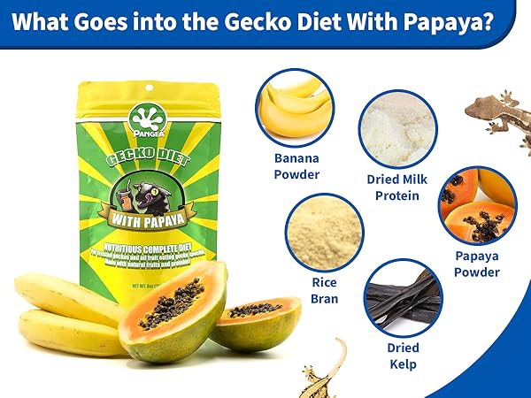 Pangea Papaya Fruit Mix Complete Crested Gecko Food - 2 oz