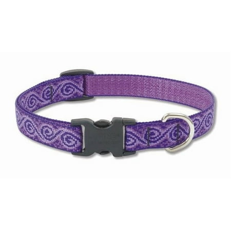LupinePet Originals Jelly Roll Dog Collar 3/4" Wide, Adjustable 13-22"