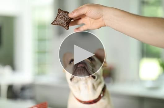 Raised Right Meat Bites Pork Liver Dog & Cat Treats - 5oz Single Ingredient