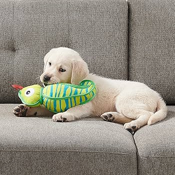 Outward Hound Xtreme Seamz Lizard Squeaky Durable Dog Toy