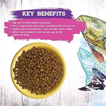 Inception Fish Recipe Dry Cat Food - 13.5 lb Bag