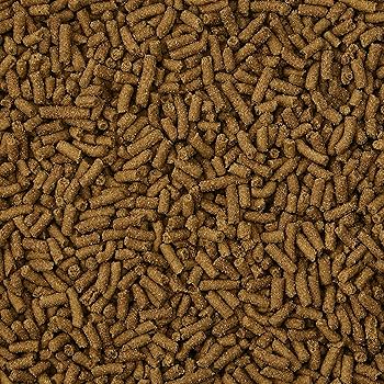 Kaytee Turkey Fortified Ferret Diet 4 lb