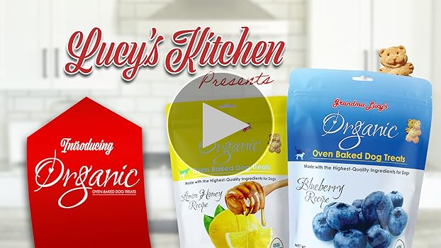 Grandma Lucy's Organic Oven-Baked Blueberry Dog Treats - 14 oz Bag