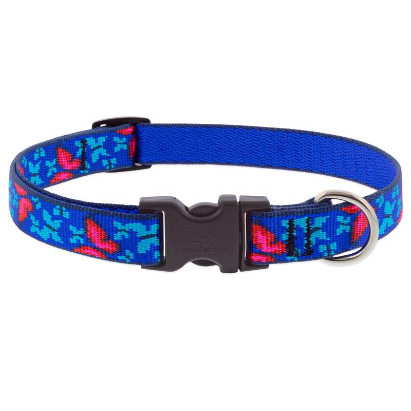 LupinePet Social Butterfly Dog Collar, Adjustable Nylon, Blue/Pink, Small (9-14 in)
