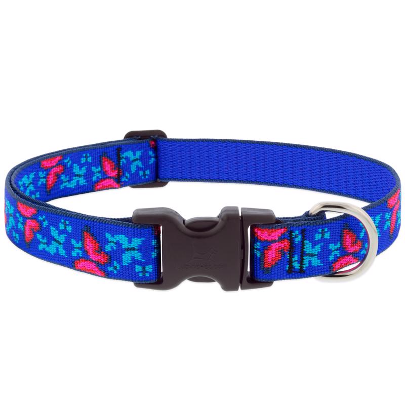 LupinePet Social Butterfly Dog Collar - 1" Wide, 16-28" Adjustable, Blue/Pink Nylon