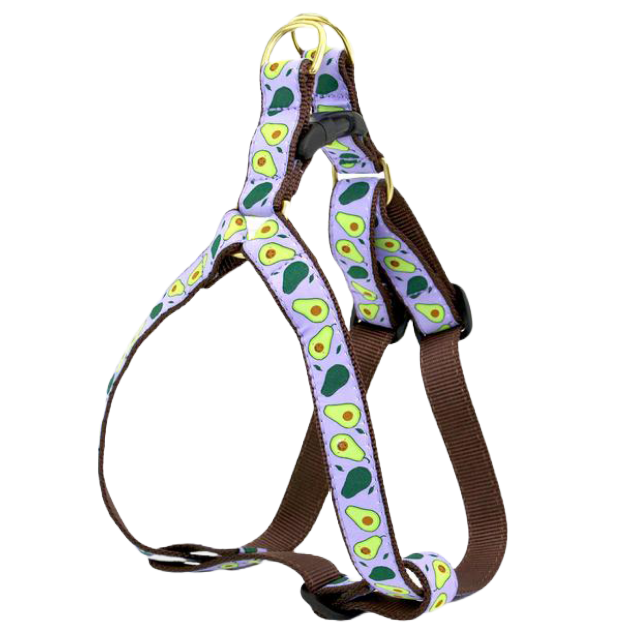 Boulderbarks Avocado Dog Harness