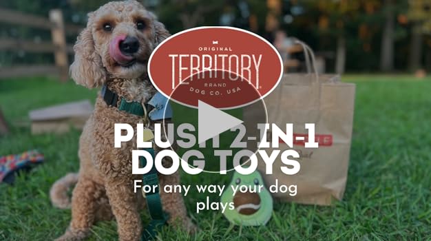 Territory 8" 2-in-1 Plush Ice Cream Dog Toy - Cream/Pink, Squeaky, Interactive