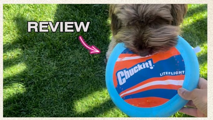 Chuckit! Lite Flight Dog Toy Disc - Large 10 Inch - Blue/Orange Frisbee