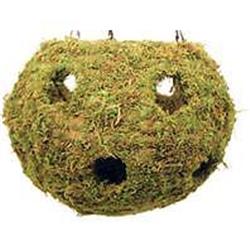 Galapagos Mossy Cave with Holes - Aquarium & Terrarium Hideaway - 12 Inch