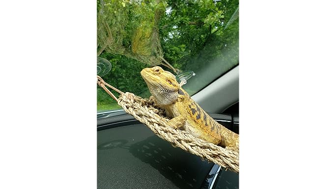 PENN-PLAX Reptology Lizard Lounger - Natural Seagrass - Extra Large - Reptile Habitat Decor