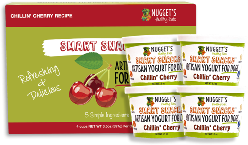Nugget's Healthy Eats Dog Frozen Yogurt Blueberry 3.5oz 4-Pack