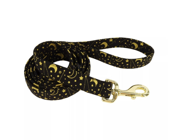 Coastal Accent Metallic Dog Leash 6ft Black Galaxy 5/8in