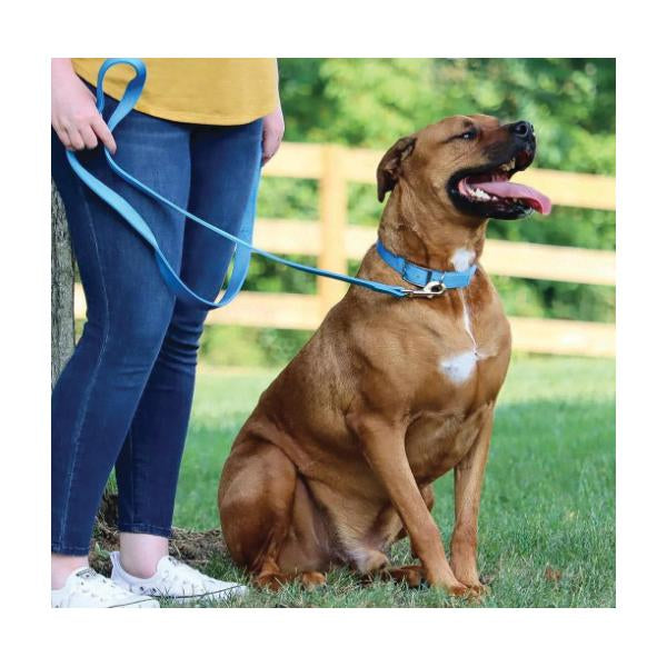 Coastal Double-Ply Nylon Dog Collar, Black, 1" x 22"