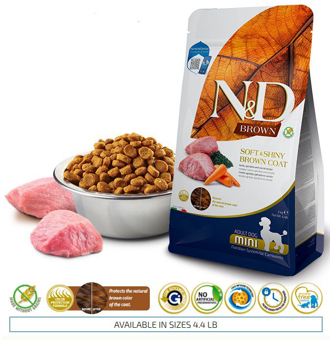 Farmina N&D Brown Coat Lamb Mini Breed Adult Dry Dog Food, 4.4 lb (2 kg)