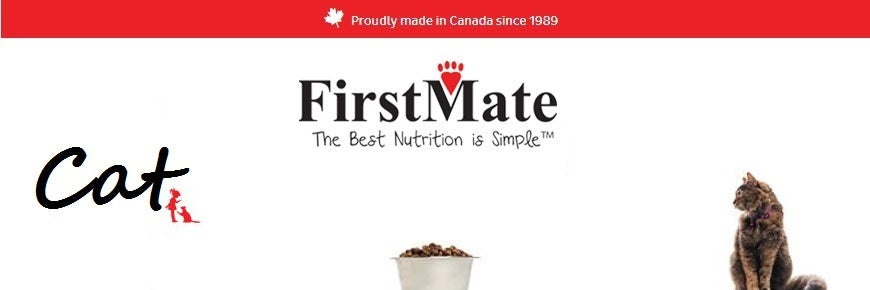FirstMate Cat Grain Friendly Wild Salmon & Rice Wet Food, 5.5 oz Can