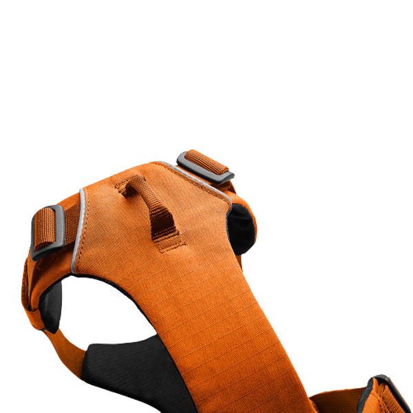 Ruffwear Front Range Dog Harness - Campfire Orange (Various Sizes)