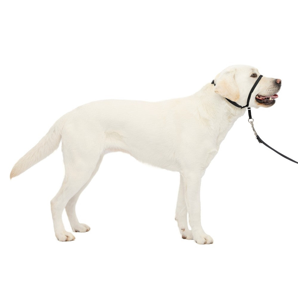PetSafe Gentle Leader Headcollar - Large, Black - No-Pull Dog Training