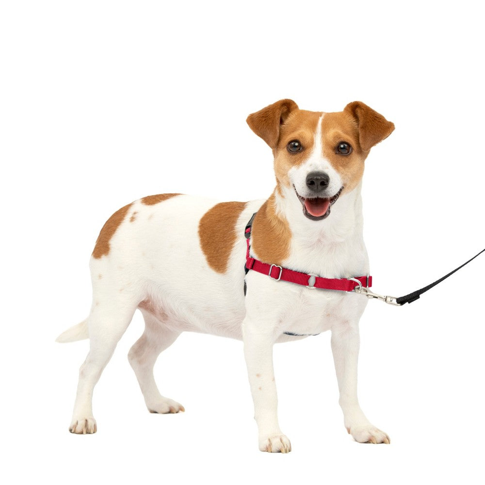 PetSafe Easy Walk Dog Harness - Small, Red/Black - No-Pull Front Clip