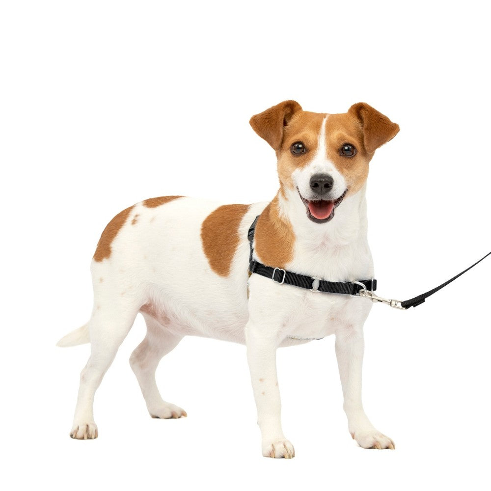PetSafe Easy Walk Dog Harness - Small, Black & Silver - No-Pull Training