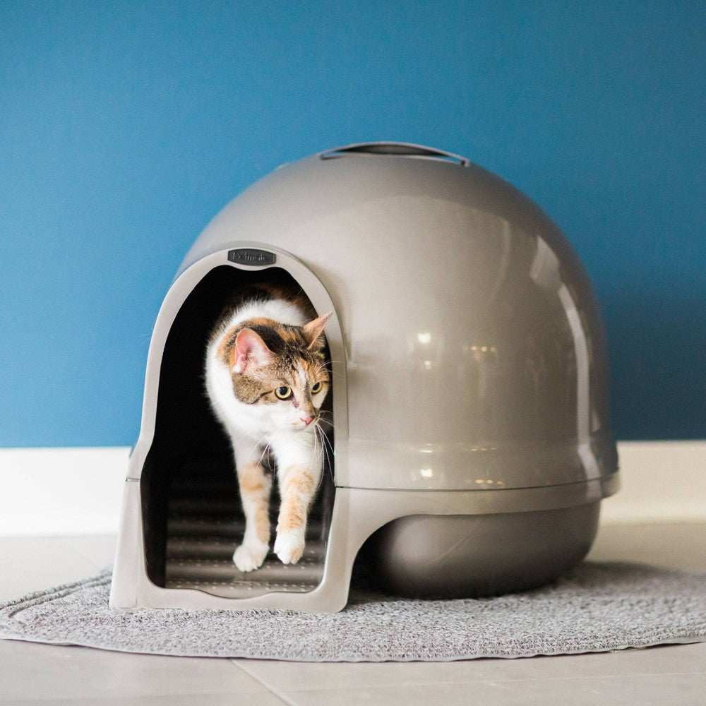 Petmate Booda Clean Step Dome Cat Litter Box - Pearl White, Covered with Steps