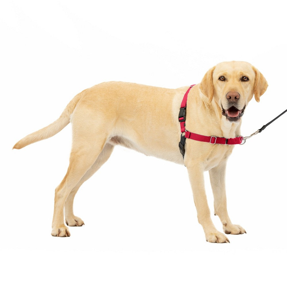 PetSafe Easy Walk Dog Harness - Large - Red/Black - No-Pull Training