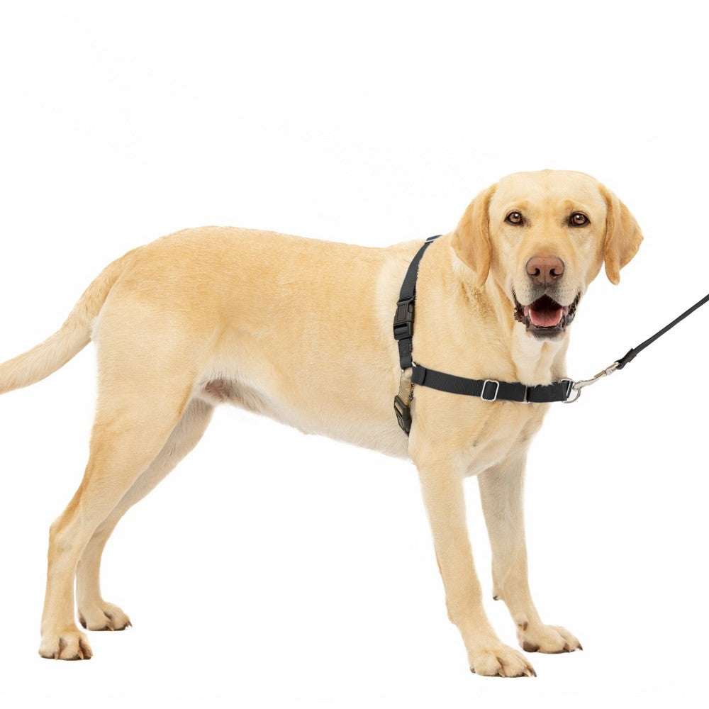 PetSafe Easy Walk Dog Harness - Large - Black - No-Pull Training Harness
