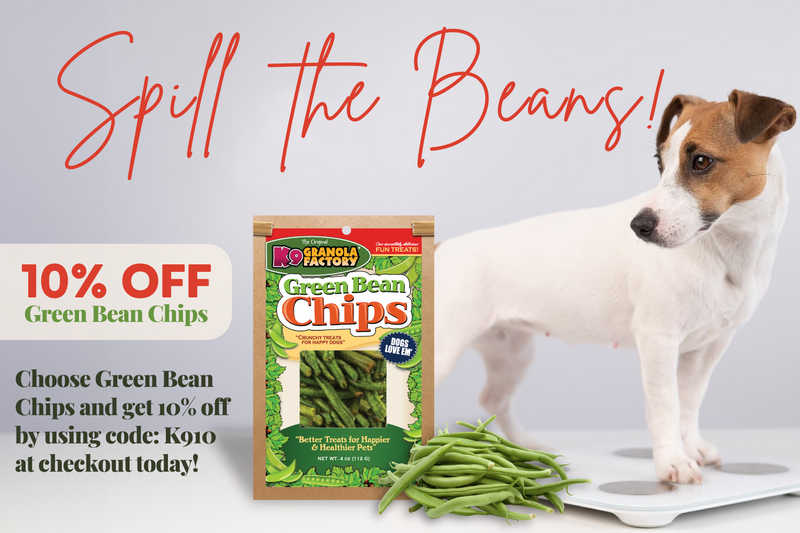 NutriSource Grain Free Seafood Select Dog Food