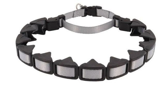 Coastal Pet Natural Control Training Collar - Gray, 16 inch, 1" Wide