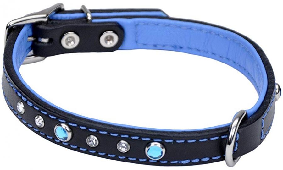 Circle T Fashion Leather Dog Collar 16 inch Blue