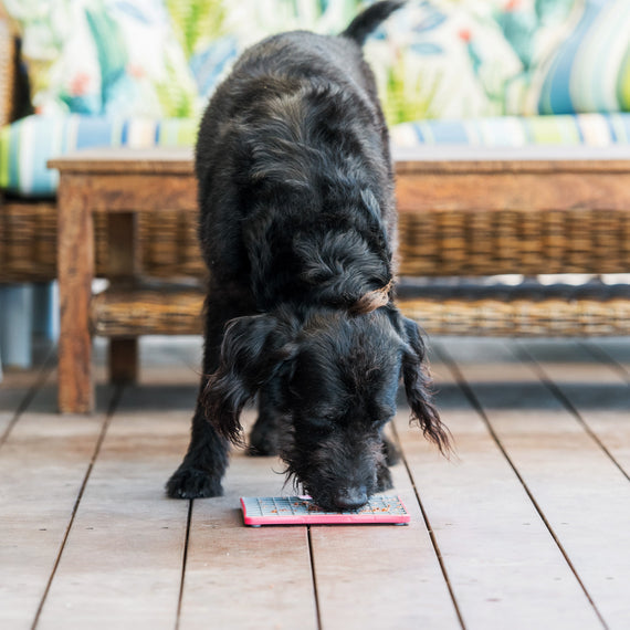 LickiMat Tuff Playdate Dog Slow Feeder - Boredom & Anxiety Reducer - Durable Design