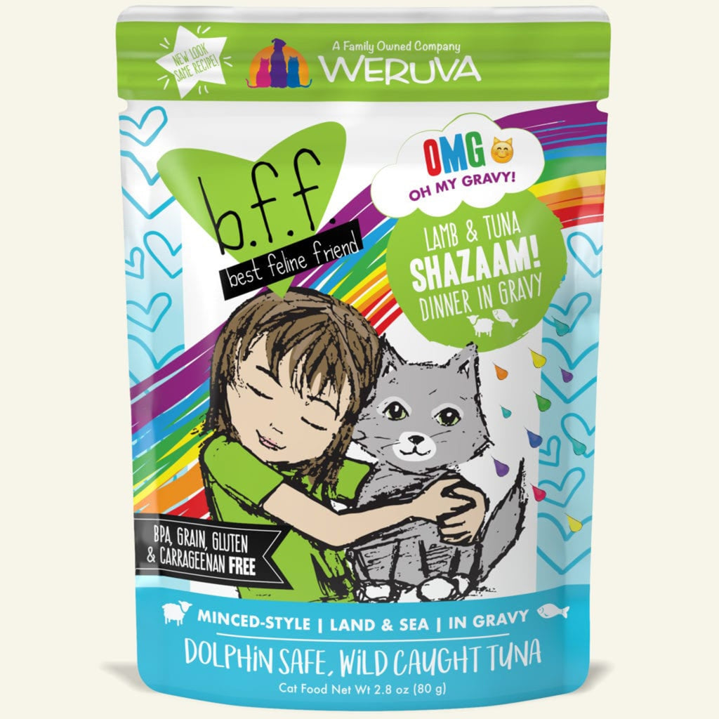 B.F.F. Omg - Best Feline Friend Oh My Gravy!, Shazaam! Wi...