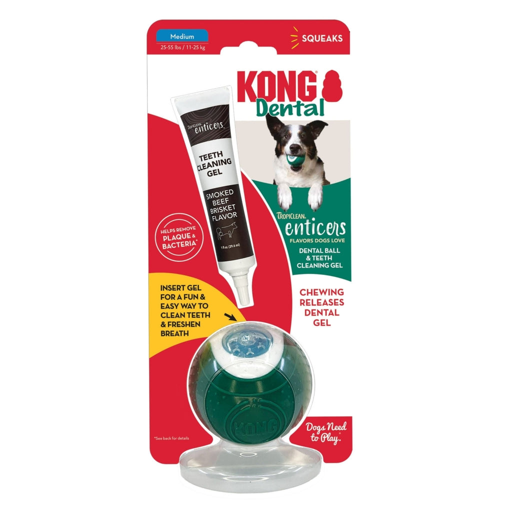 KONG Dental Ball Dog Toy - Medium - With Teeth Cleaning Gel