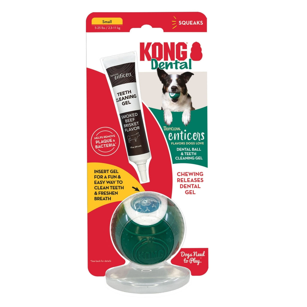 KONG Dental Ball Dog Toy - Small, Cleans Teeth & Gums, Chew Toy
