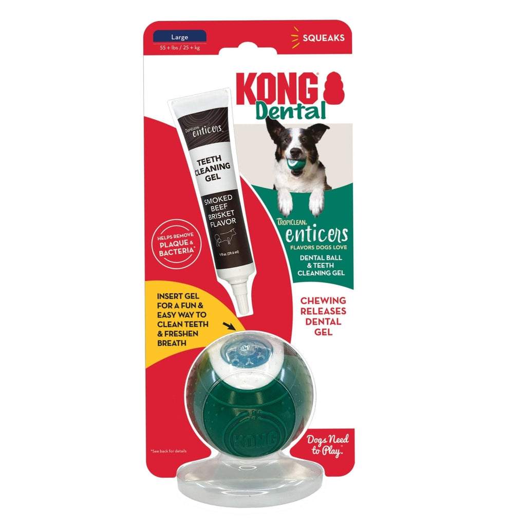KONG Dental Ball Large Dog Toy with Beef Dental Gel, Teeth Cleaning Chew Toy