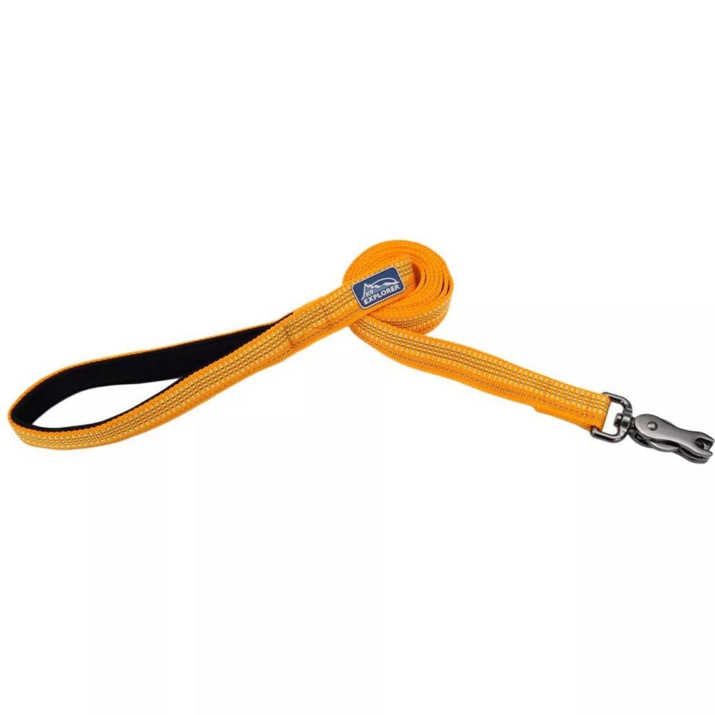 K9 Explorer® Brights Reflective Dog Leash