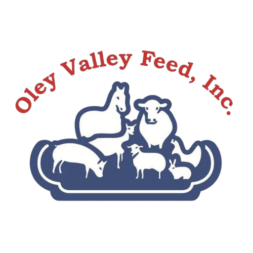 LupinePet Social Butterfly Dog Collar - 1" Wide, 16-28" Adjustable, Blue/Pink Nylon