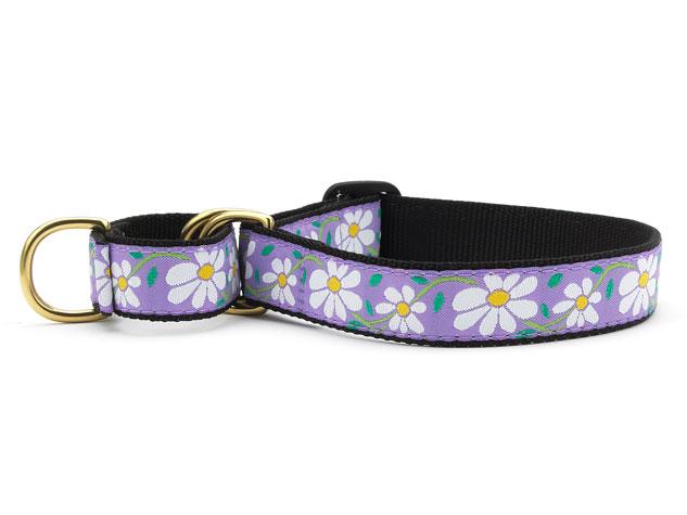 Up Country DAIMG4W Daisy Martingale Pet Collar - Large