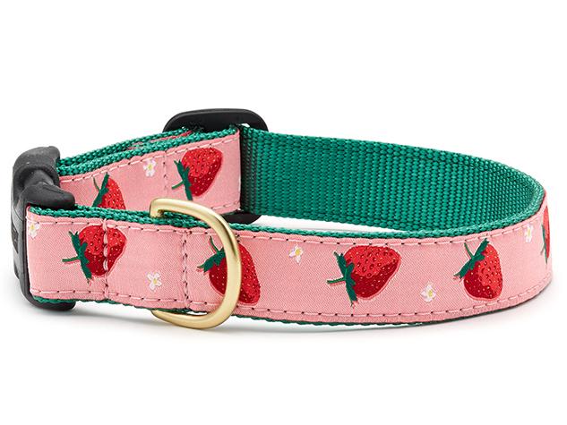 Up Country STRCQ1N Strawberry Fields Dog Collar, Extr...