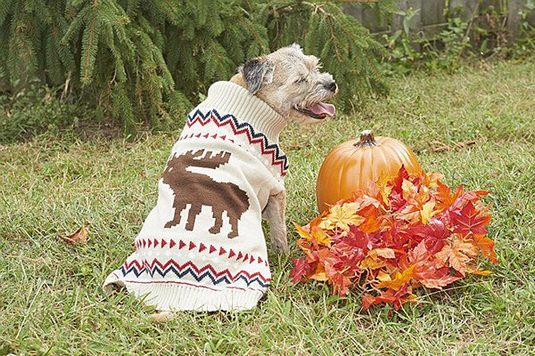 Fashion Pet Outdoor Dog Moose Sweater - Cream, Large