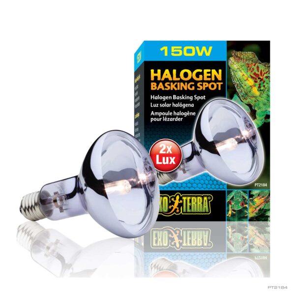 Exo Terra Sun-Glo Halogen Basking Spot Lamp - 100W - PT2183 - Reptile Heat Bulb