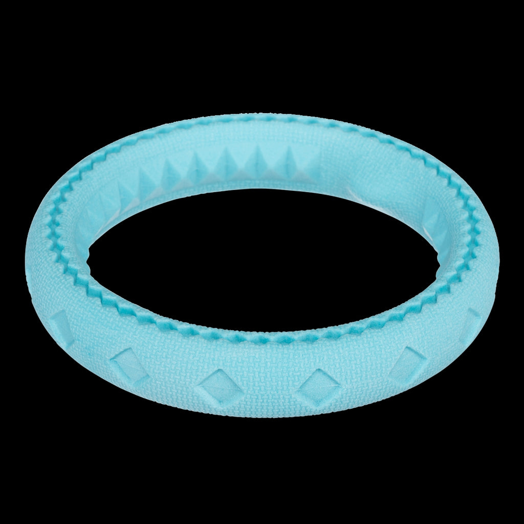 69560649 6.5 in. Totally Dog Chew N Tug Ring, Teal