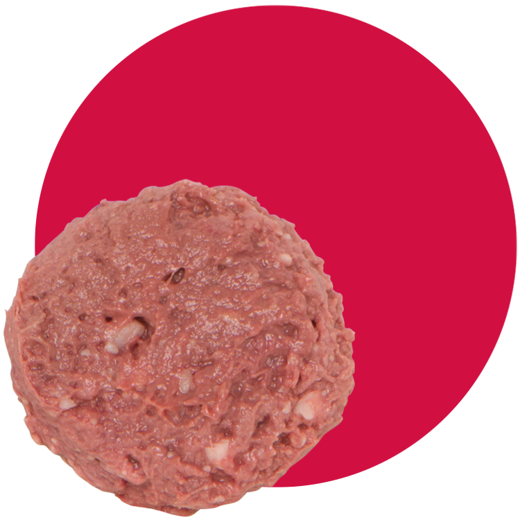 Smallbatch Beef Blend Raw Frozen Dog & Cat Food - 2 lb Chub
