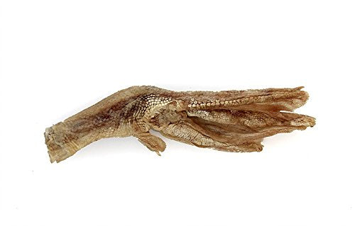 Vital Essentials 93200537 Freeze-Dried Duck Feet for Dog ...